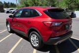 Used 2021 Ford Escape SE image 5