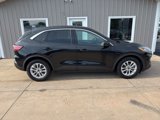 Used 2020 Ford Escape SE image 2
