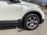 Used 2019 Honda CR-V EX-L image 5