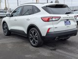 Used 2022 Ford Escape SEL w/ SEL Stealth AWD Package image 4