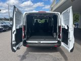 New 2024 Ford Transit 150 Low Roof w/ Load Area Protection Package image 6