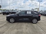 Used 2022 Ford Escape SE w/ Convenience Package image 2