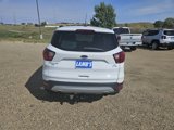 Used 2019 Ford Escape SE image 4