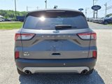 Used 2022 Ford Escape SE w/ Cold Weather Package image 6