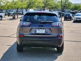 Used 2023 Jeep Cherokee Altitude Lux image 4