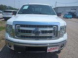 Used 2013 Ford F150 XLT w/ Luxury Equipment Group image 3
