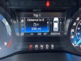 Used 2021 Ford Ranger XLT w/ Equipment Group 301A Mid image 3