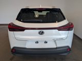 Used 2023 Lexus UX 250h AWD w/ Premium Package image 4