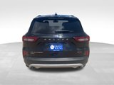Used 2023 Ford Escape Platinum image 5