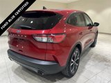 Certified 2021 Ford Escape SE w/ SE Sport Appearance Package image 5