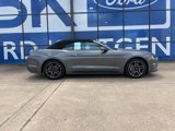 Used 2023 Ford Mustang Premium image 4