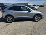 Used 2022 Ford Escape SEL image 6