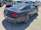 Certified 2017 Ford Mustang Coupe w/ Enhanced Security Package image 4