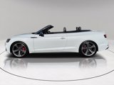 Used 2019 Audi S5 Prestige w/ S Sport Package image 2