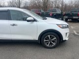 Used 2019 Kia Sorento EX w/ EX Touring Package image 4