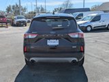 Used 2020 Ford Escape SEL image 5