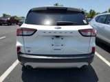 Used 2021 Ford Escape SEL image 5