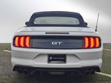 Used 2019 Ford Mustang GT image 4