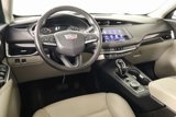 Used 2020 Cadillac XT4 Premium Luxury image 2