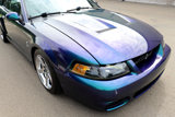 Used 2004 Ford Mustang Cobra image 4