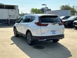 Used 2020 Honda CR-V EX-L image 5