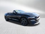Used 2022 Ford Mustang Premium image 2