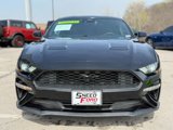 Used 2021 Ford Mustang Coupe w/ Equipment Group 101A image 2