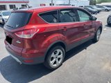Used 2014 Ford Escape SE image 4