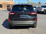 New 2025 Ford Escape ST-Line w/ Cold Weather Package image 5