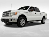 Used 2013 Ford F150 XLT w/ XLT Chrome Pkg image 5