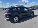 Used 2020 Ford Escape SE image 4