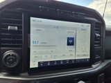 Certified 2023 Ford F150 XLT w/ Equipment Group 302A High image 4