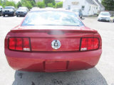 Used 2007 Ford Mustang Premium image 5