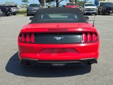 Used 2022 Ford Mustang Convertible image 4