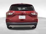 Used 2021 Ford Escape SEL image 4