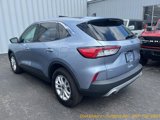 Certified 2022 Ford Escape SE w/ Convenience Package image 5
