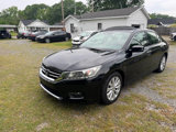 Used 2014 Honda Accord EX-L image 3