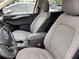 Used 2020 Ford Escape SE image 3