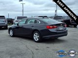 Used 2023 Chevrolet Malibu LT image 2