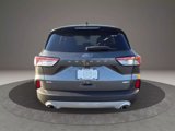 Used 2020 Ford Escape SEL image 5