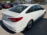 Used 2016 Hyundai Sonata SE w/ Winter Weather Package image 6