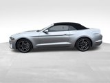 Used 2022 Ford Mustang Premium image 2