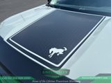 Used 2023 Ford Bronco Sport Big Bend image 3