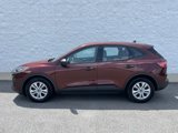 Used 2021 Ford Escape S image 3