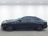 Certified 2023 Cadillac CT4 Sport image 2
