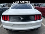 Used 2022 Ford Mustang Coupe image 2