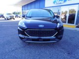 Used 2022 Ford Escape SE image 2