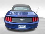 Used 2015 Ford Mustang Premium w/ Ecoboost Performance Package image 4
