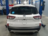 Used 2020 Ford Escape SE image 3