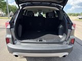 Used 2022 Ford Escape SEL image 6